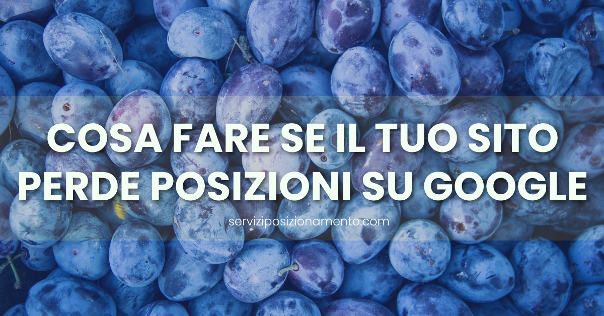 perdita posizioni google