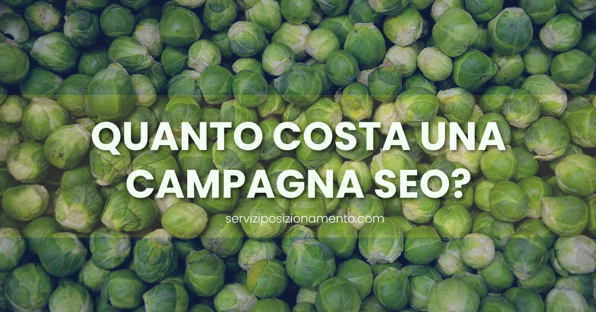 costo posizionamento sito